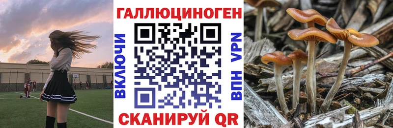 Псилоцибиновые грибы Cubensis  Новосибирск 