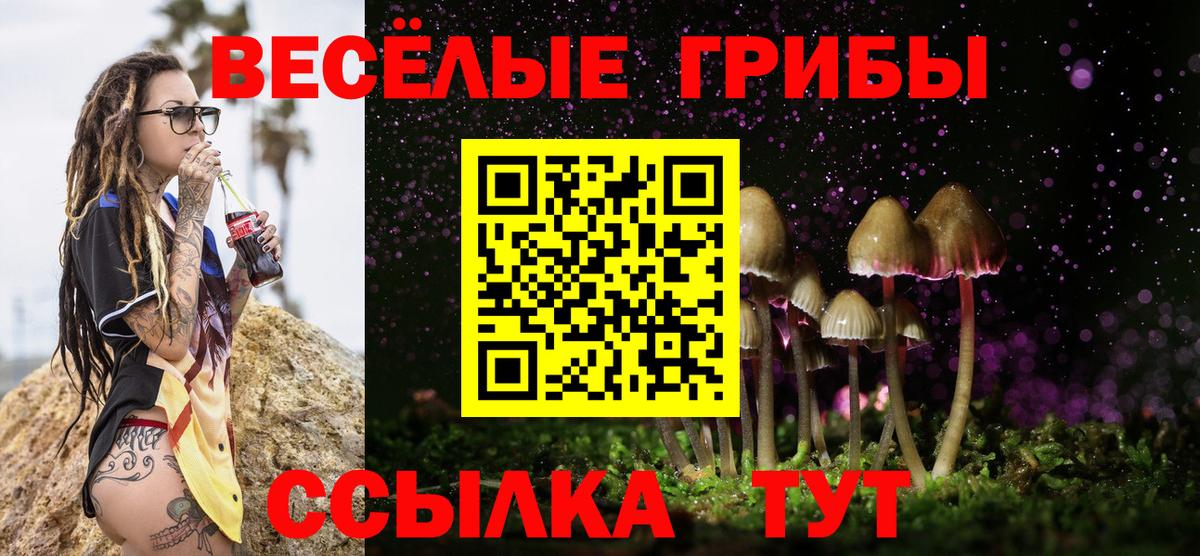 Новосибирск  Псилоцибиновые грибы ЛСД  где можно купить наркотик  Вход с VPN 