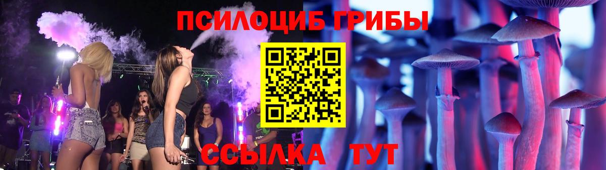 Псилоцибиновые грибы Psilocybe Новосибирск